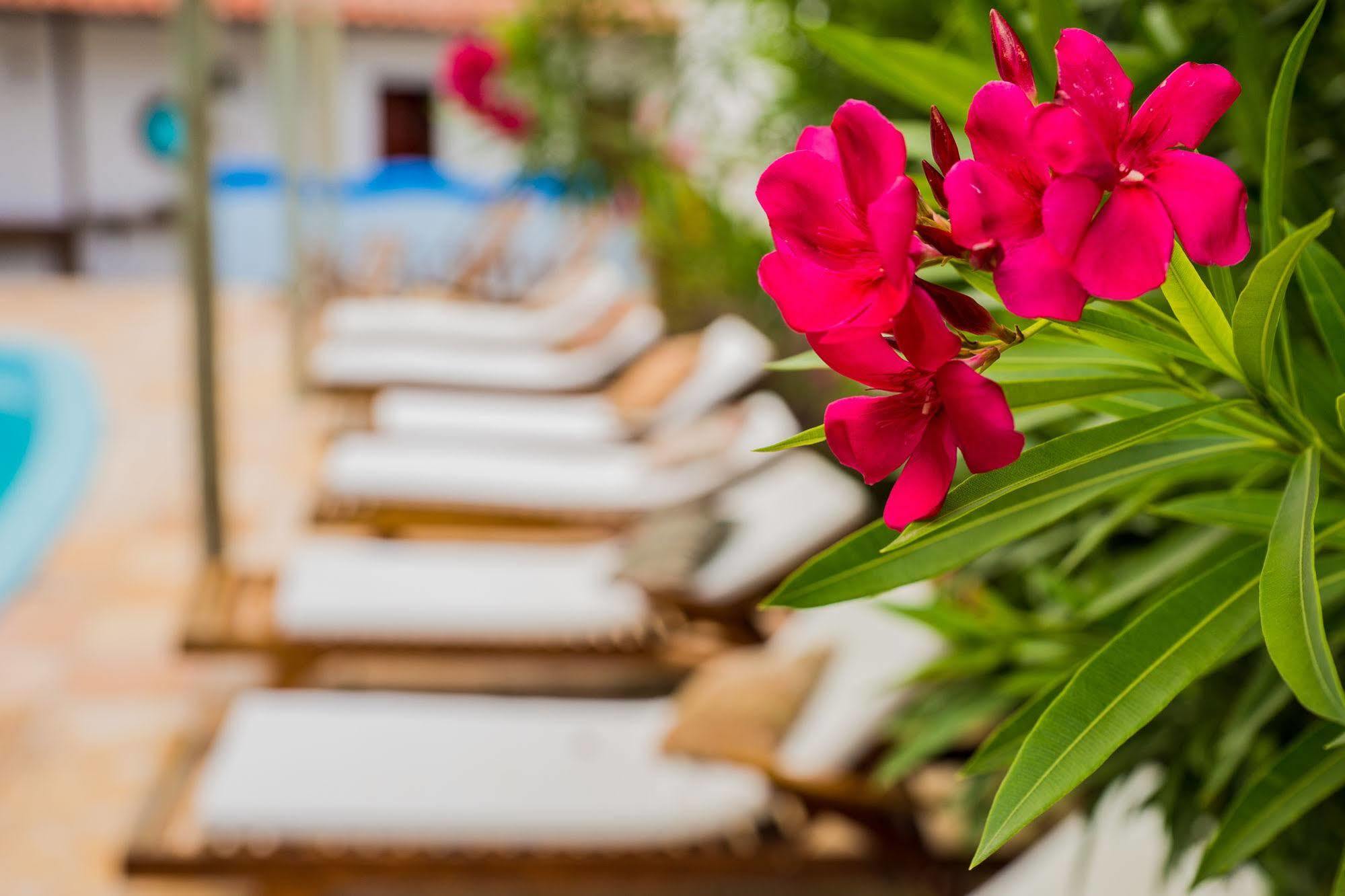 Pousada Villa Caju Jijoca de Jericoacoara Εξωτερικό φωτογραφία